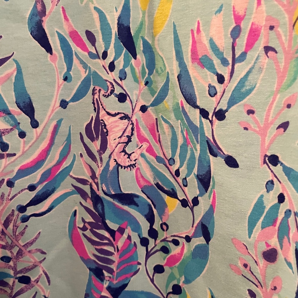 Lilly Pulitzer dress - Picture 3 of 4